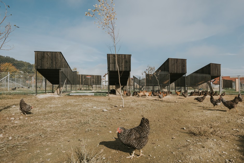 CHICKENVILLE, Croatia | SKROZ d.o.o. | Photo: Marko Mihaljevic
