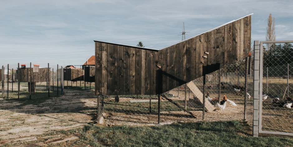 CHICKENVILLE, Croatia | SKROZ d.o.o. | Photo: Marko Mihaljevic